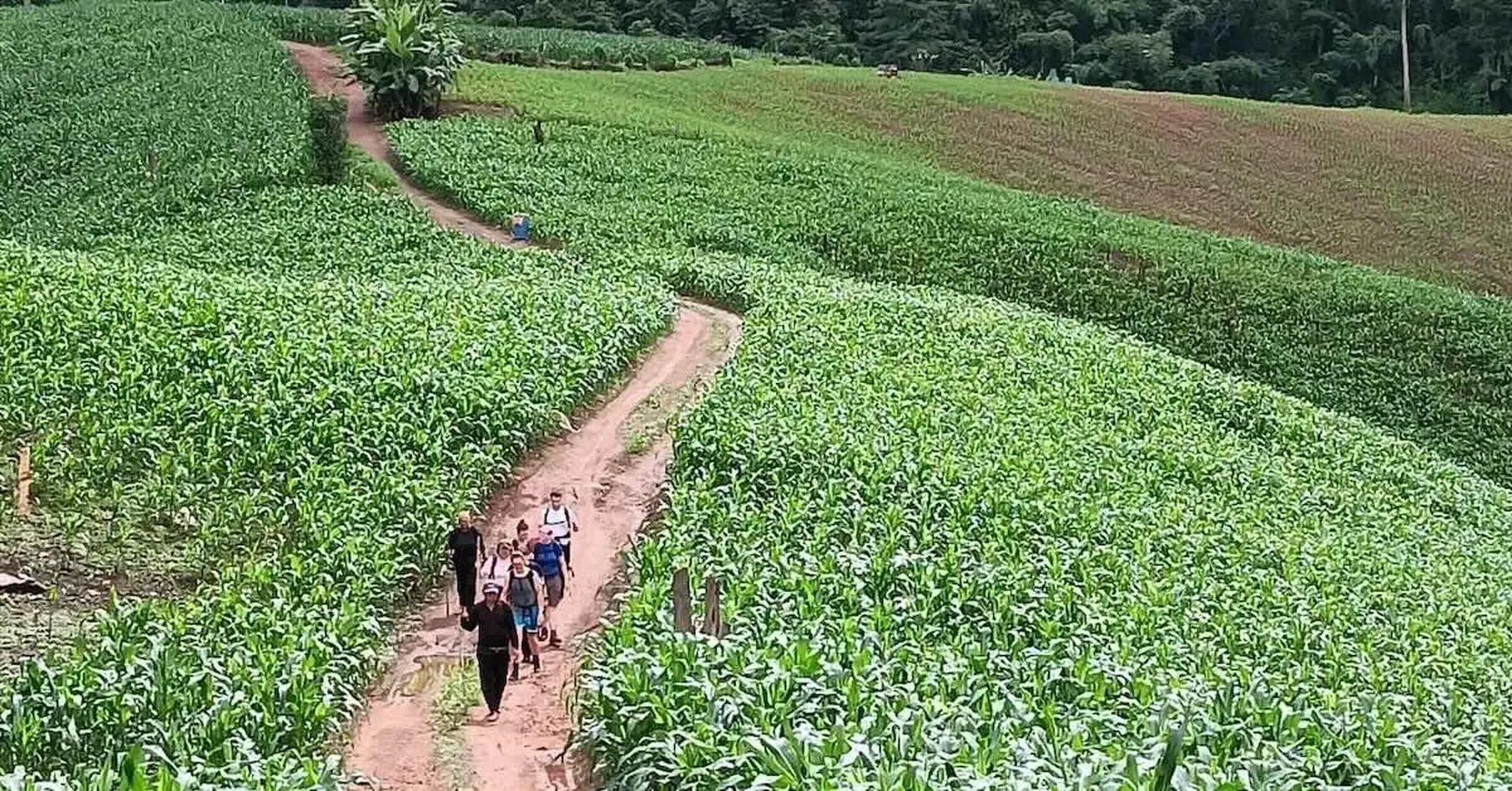 Mae Hong Son Thailand Trek Planeterra