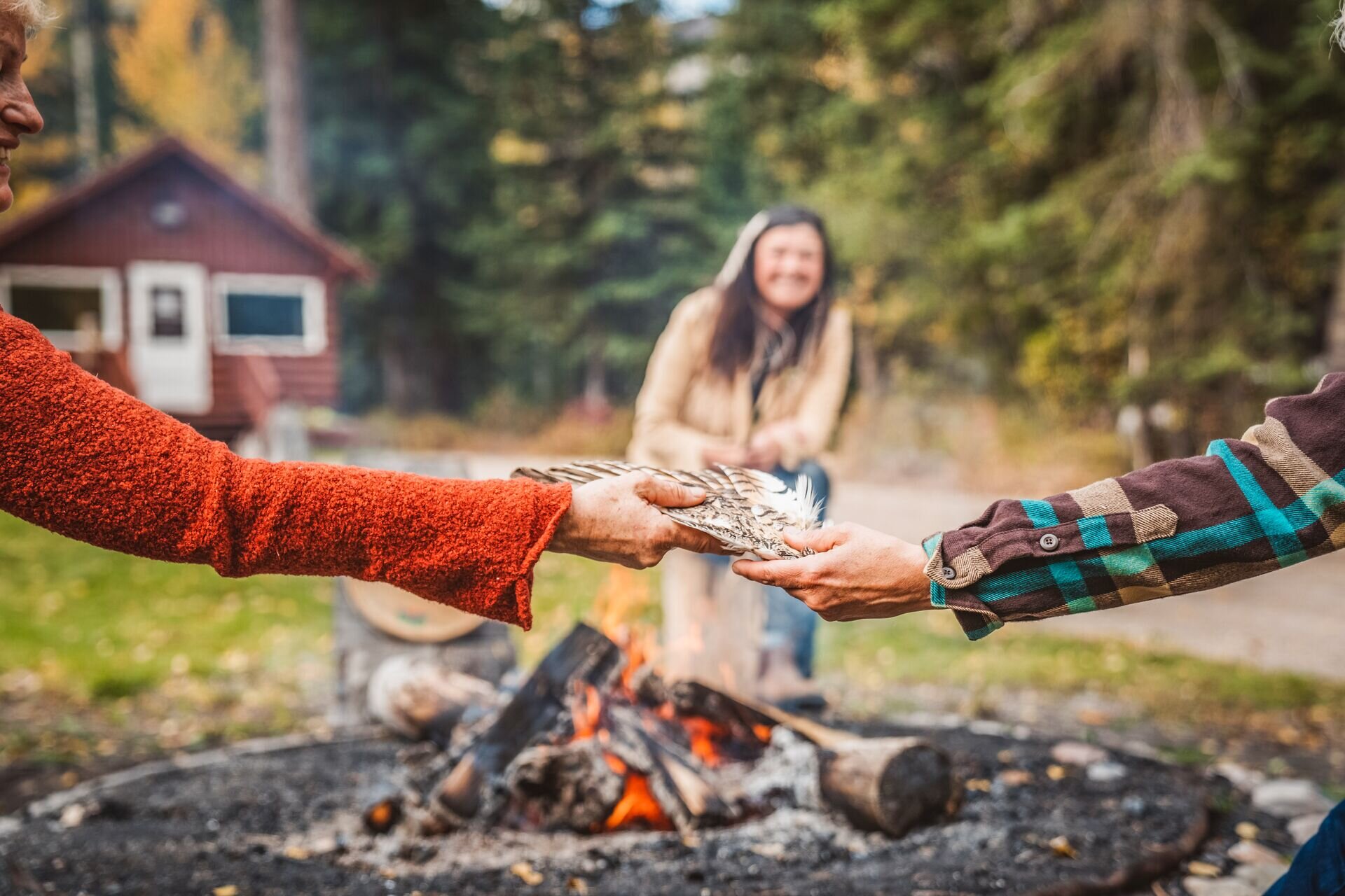 Check out the TTC Impact report