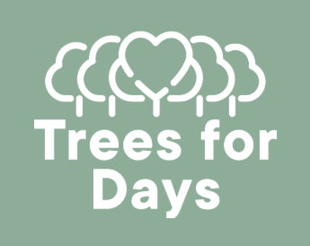 G Adventures - Trees for days