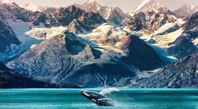 The complete guide to selling Alaska cruises