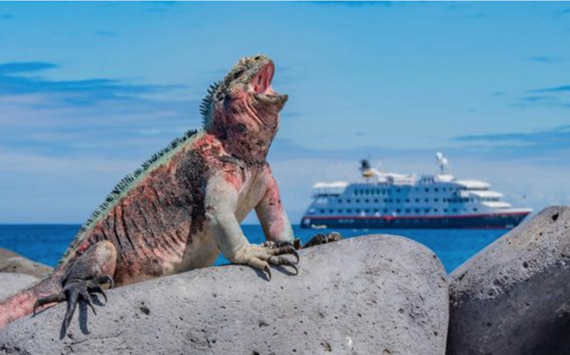 Hurtigruten announces bonus agent commission for Galápagos itineraries