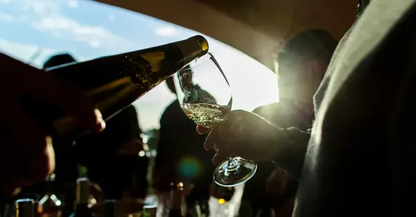 Find vines and gourmet groves in Portugal