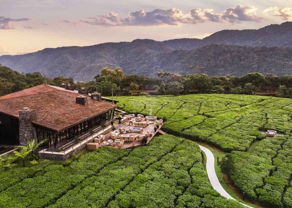 Photo Gallery: One&amp;Only Nyungwe House, Rwanda