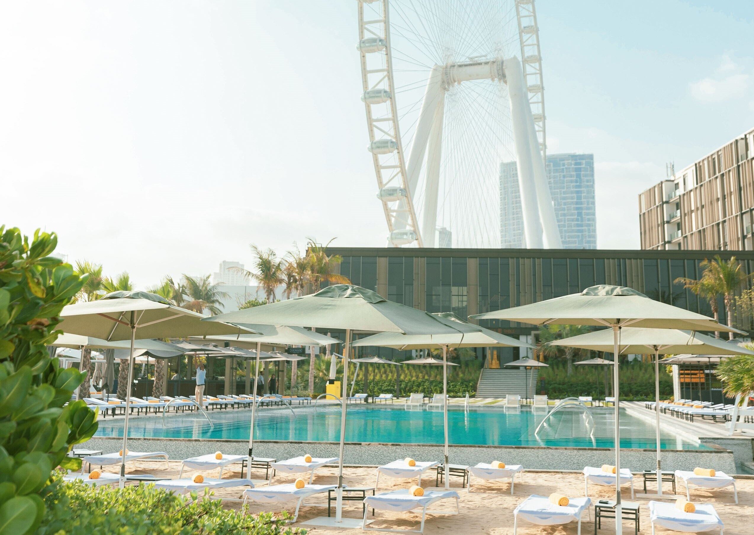 4/2694.jpg 4/2694.jpg