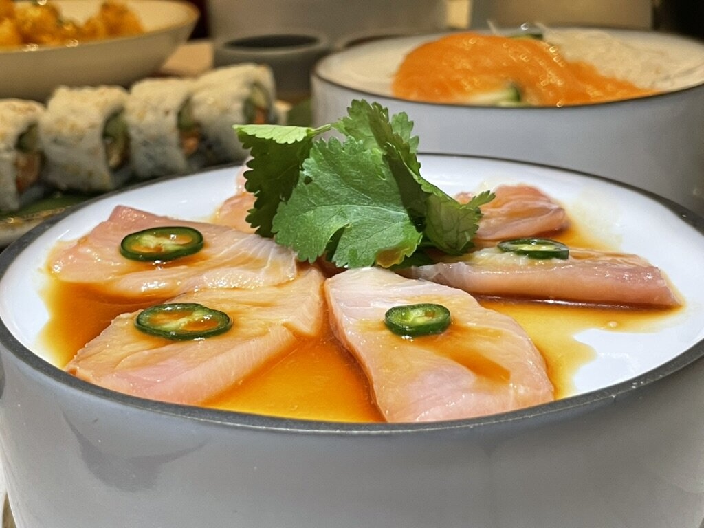 /16689.jpg /16689.jpg