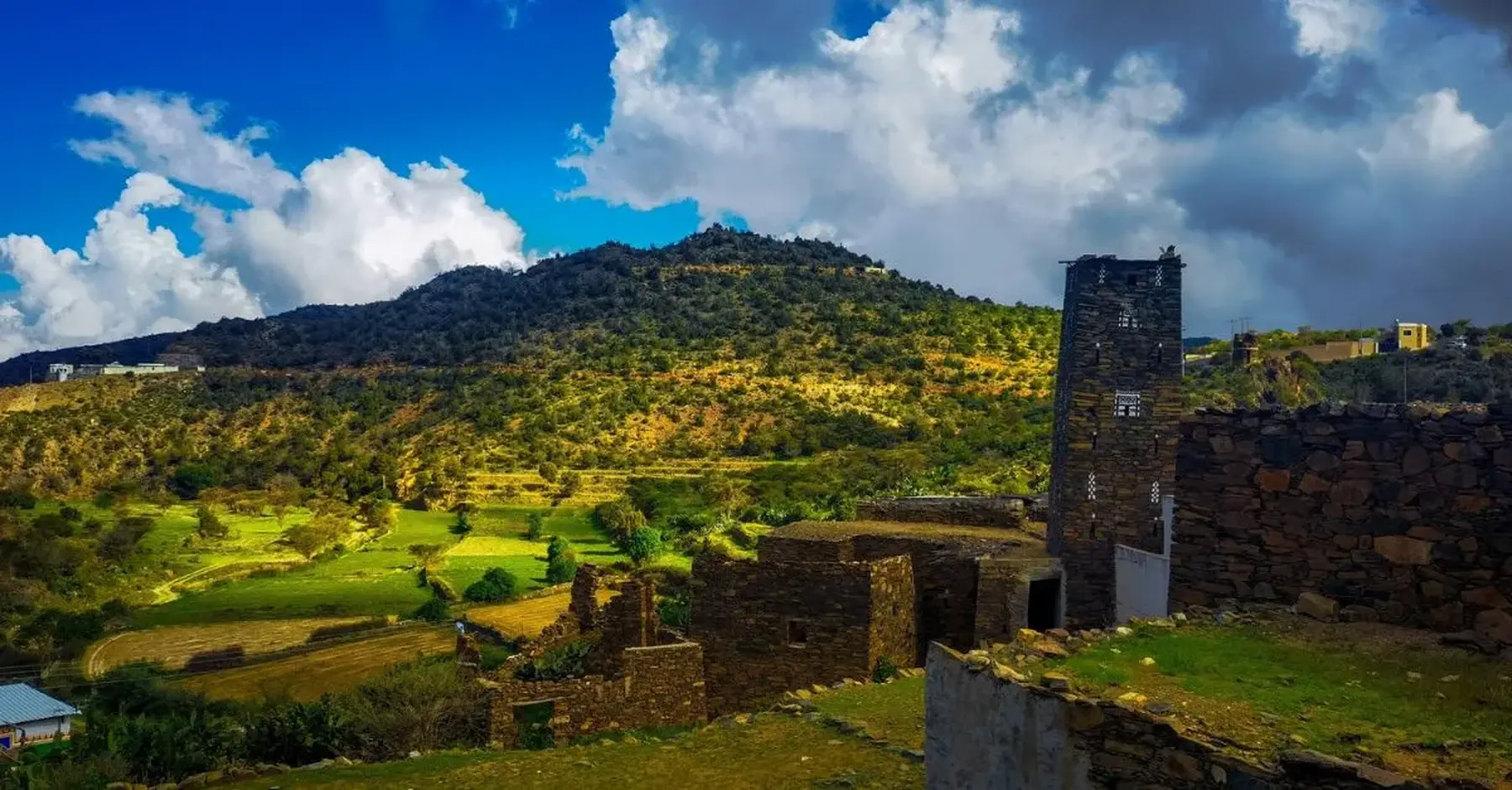 aseer region saudi