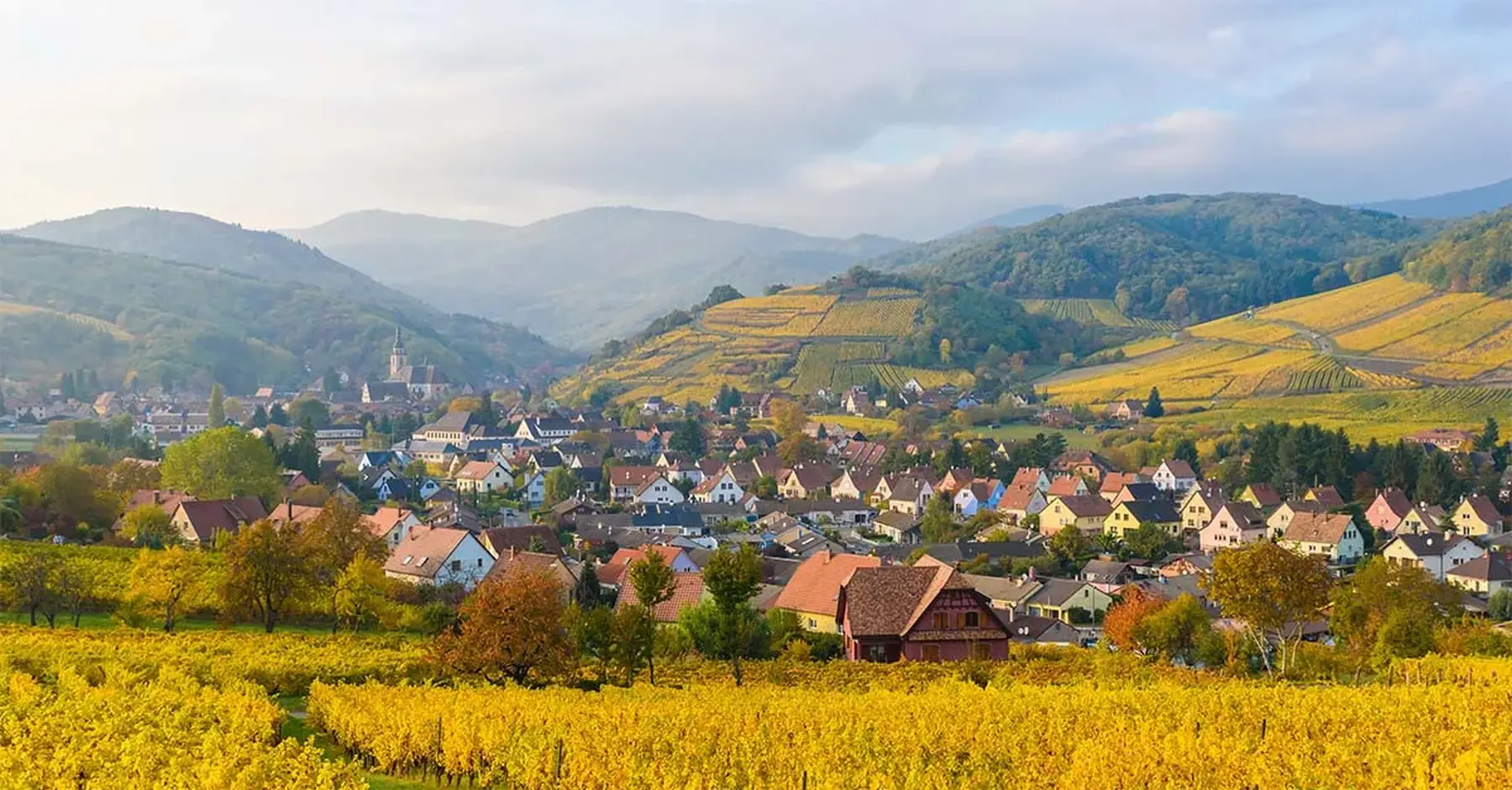 Our guide to Alsace, from wine trails to fairytale towns