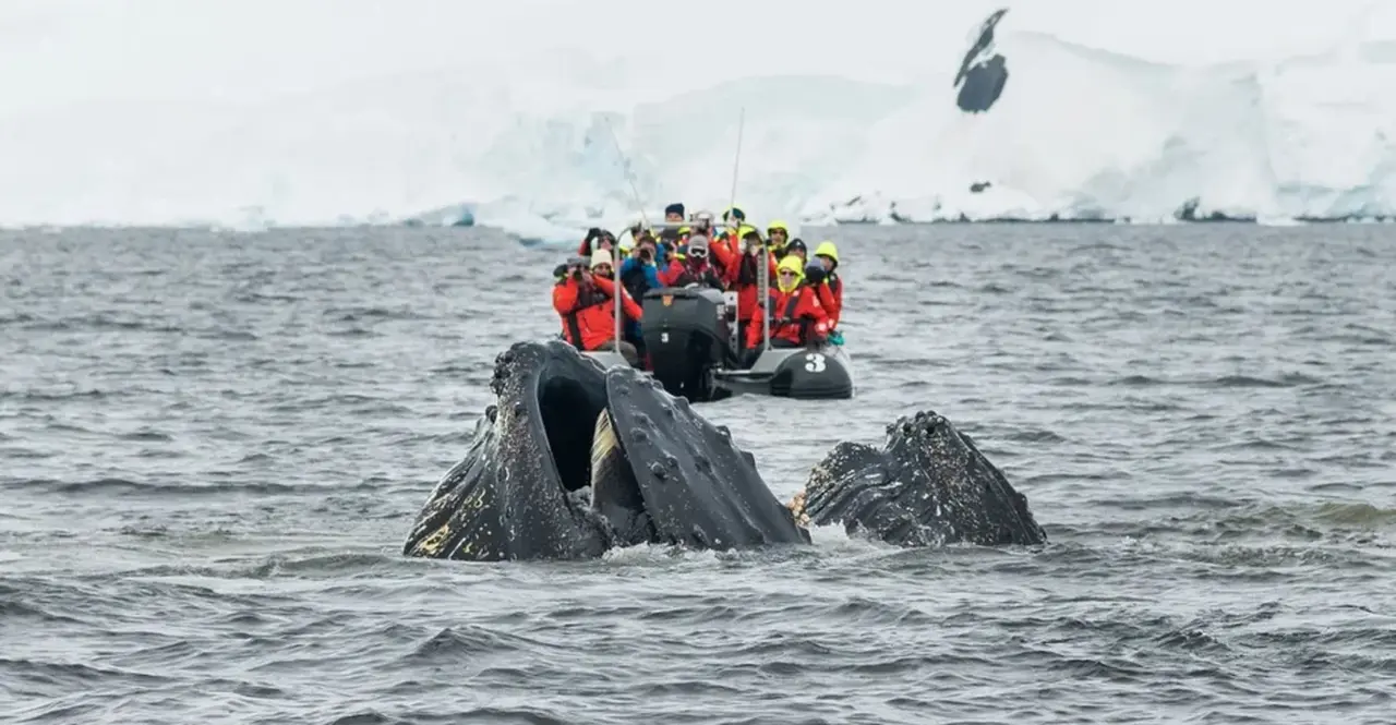 6 of the best cruises