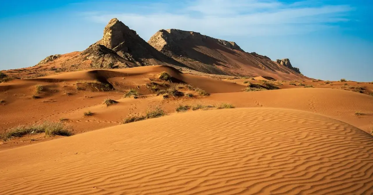 SHARJAH faya rock fossil