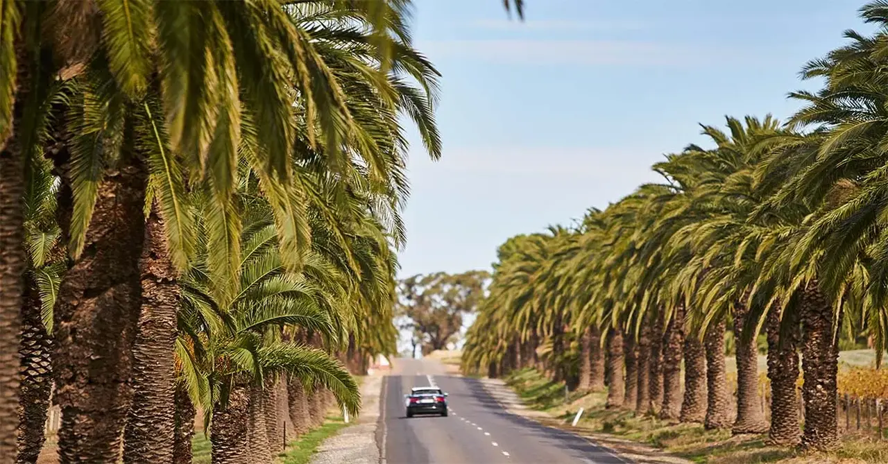 137314 Seppeltsfield Road Barossa CREDIT South Australian To