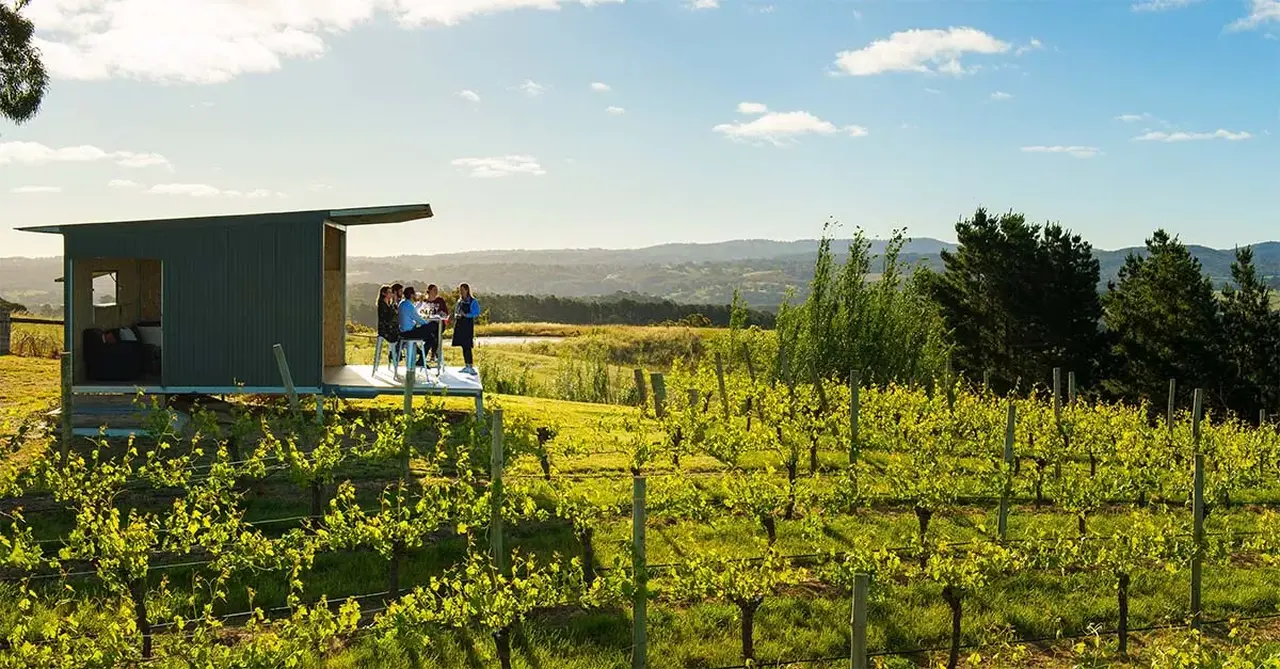 256976 167 The Lane Vineyard Adelaide Hills credit South A