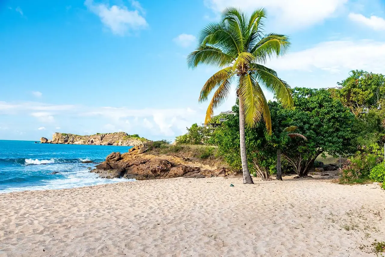 DiegoMariottini shutterstock 2390702401