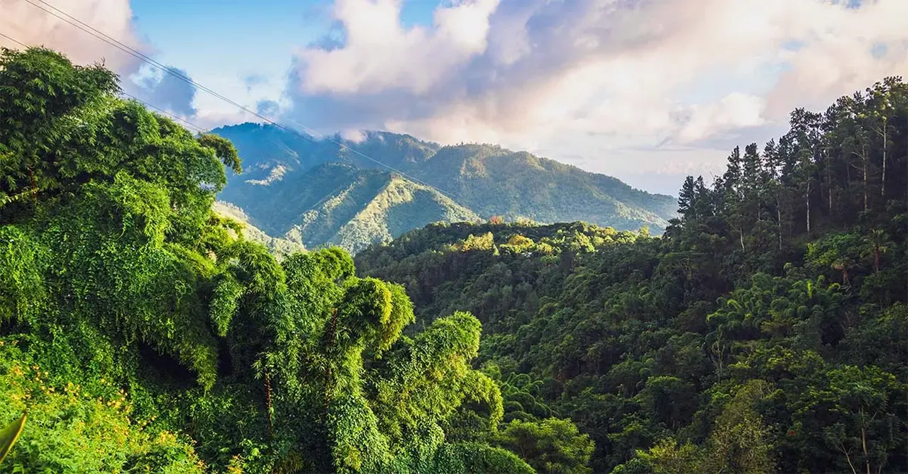 Discover Jamaica's food scene on a fun-filled agent fam trip