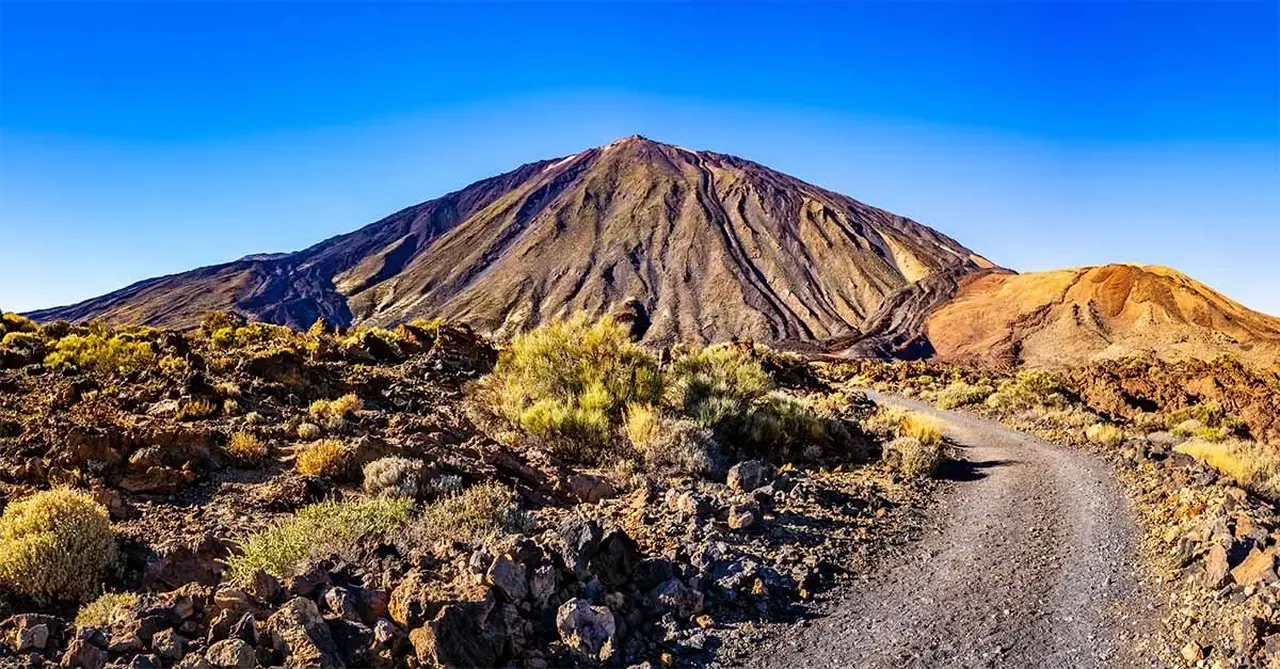 shutterstock foto select 2401727823