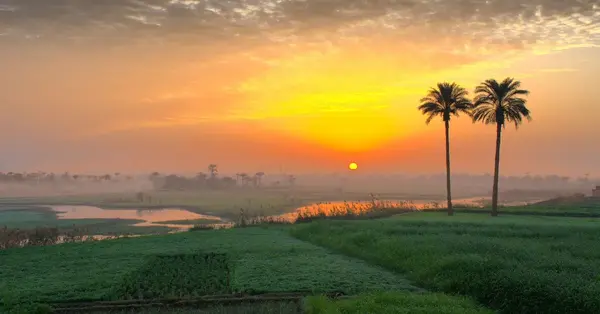 Air Arabia Abu Dhabi to launch direct flights to Egypt’s Assiut