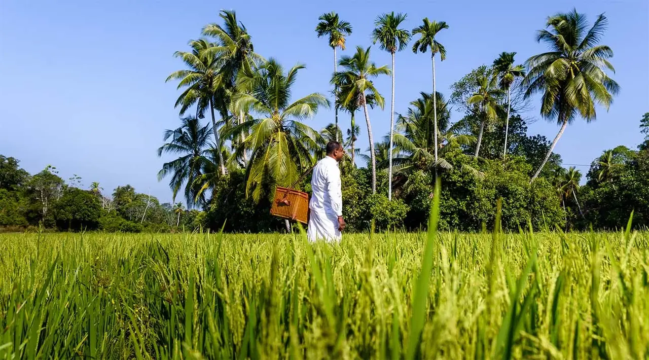 Sales up 15% for the Indian Ocean, reveals Pure Luxury