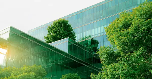 Fewer firms have decarbonisation plan compared with 2021, DfT survey finds