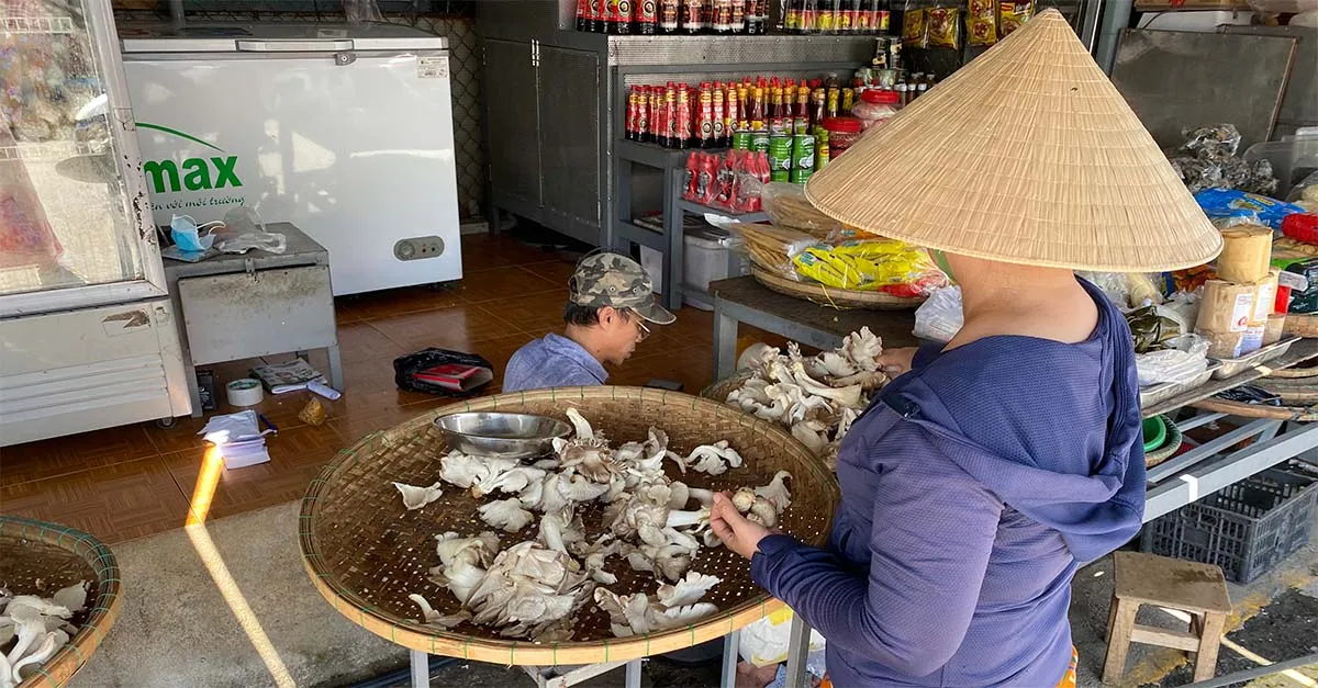 Dong Ba Market in hue credit Tamara Hinson 4