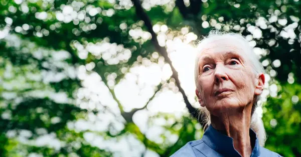 G Adventures founder pays tribute to ‘trailblazer’ Dr Jane Goodall 