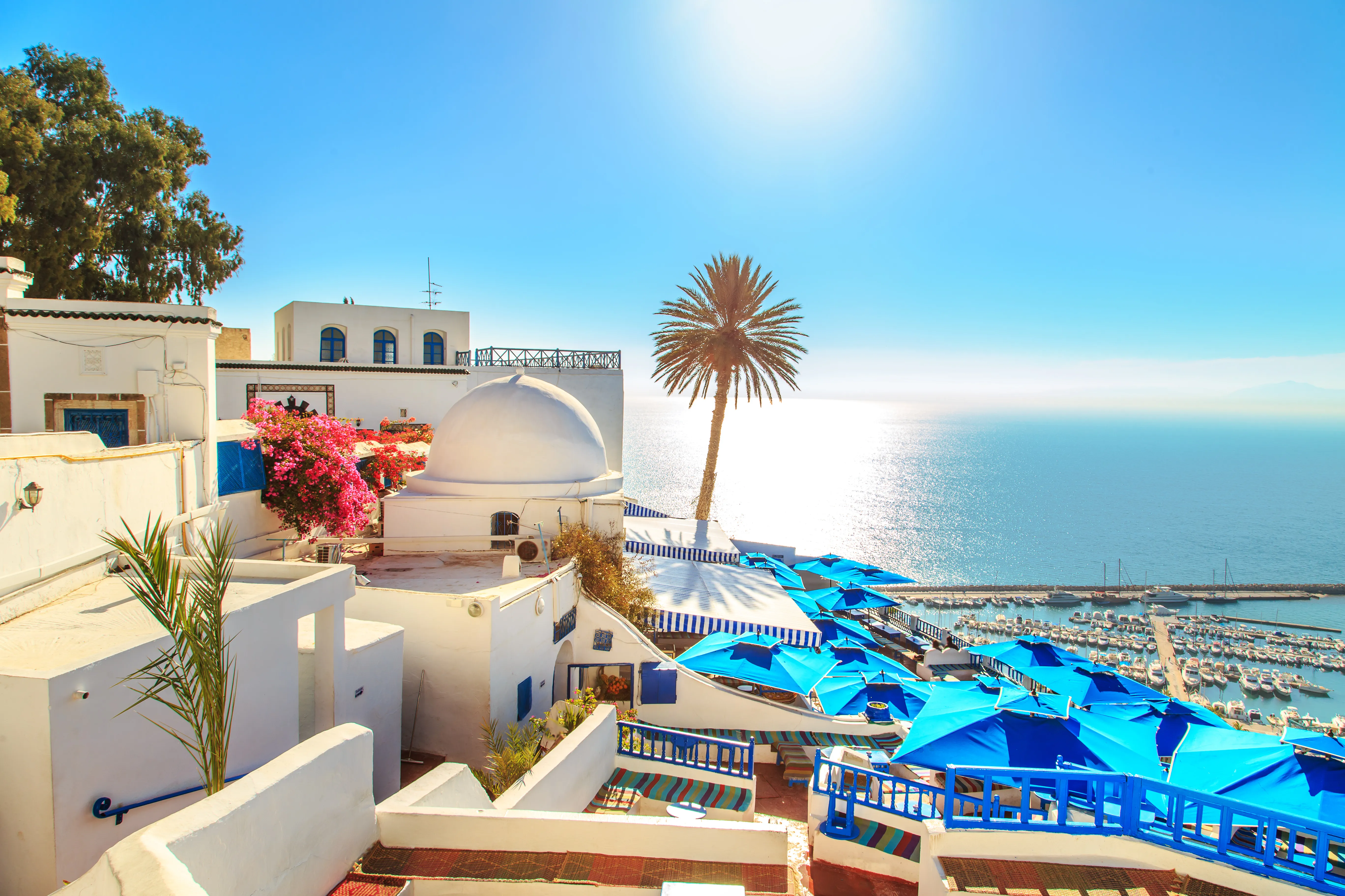 Tunisia account image 3