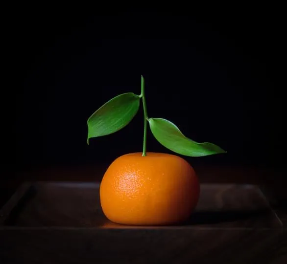 Dinner by Heston Blumenthal Dinner by Heston Blumenthal