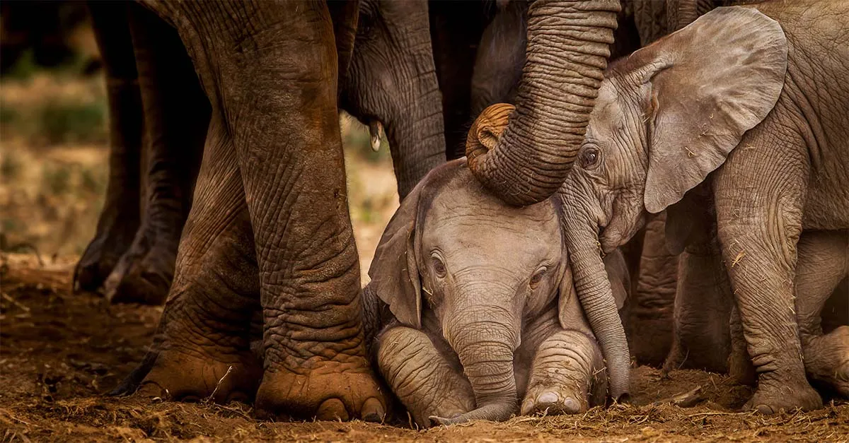 An agent's view of South Africa with Newmarket Holidays