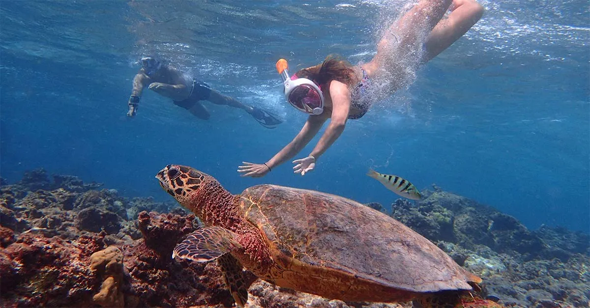 shutterstock JMontes 1300477513