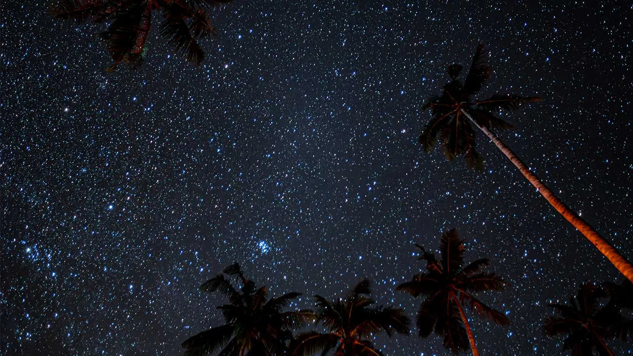 October is the ‘new peak season’, says Little Emperors