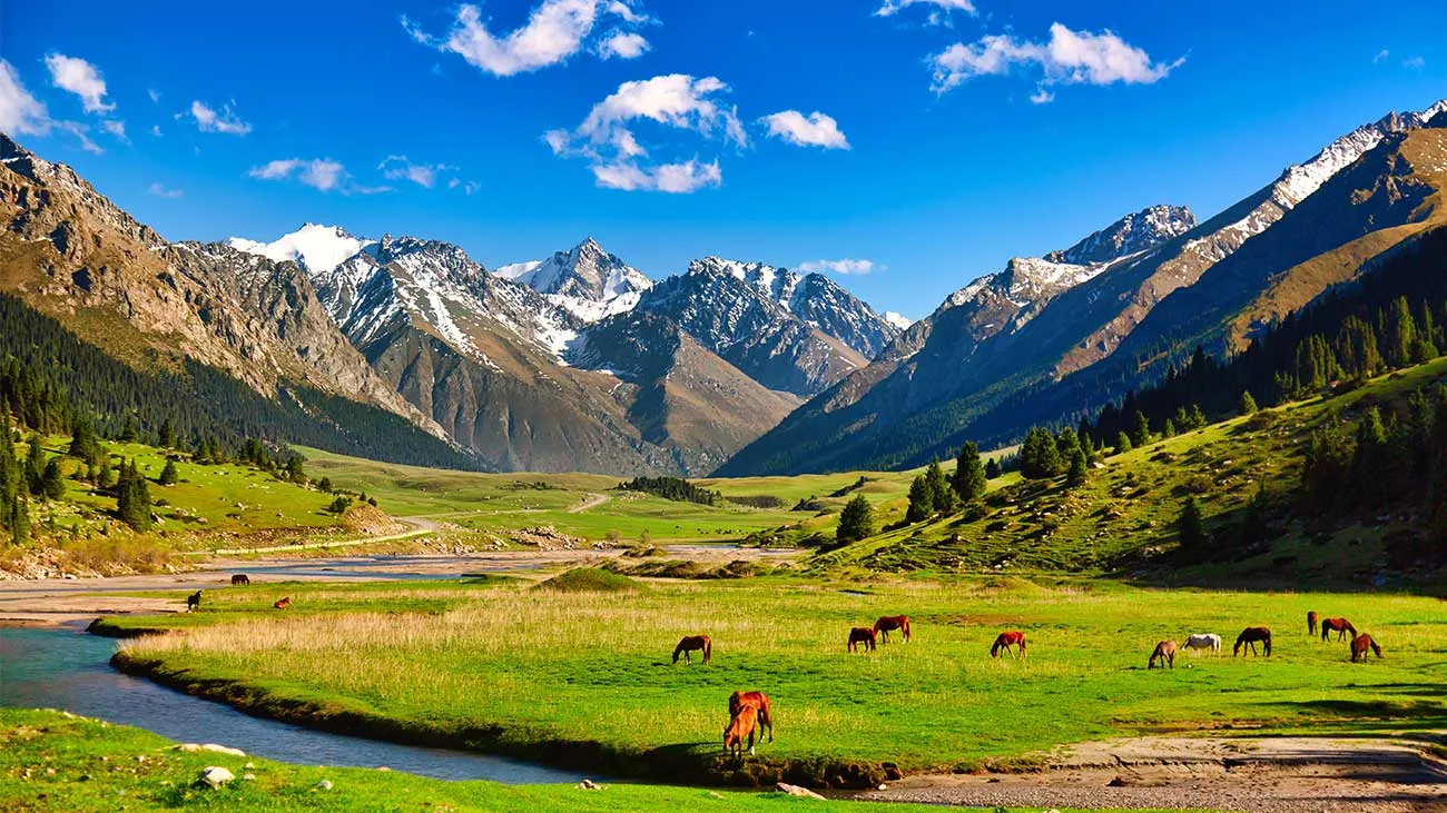 Specialist adventure operator Wild Frontiers predicts top destinations for 2026