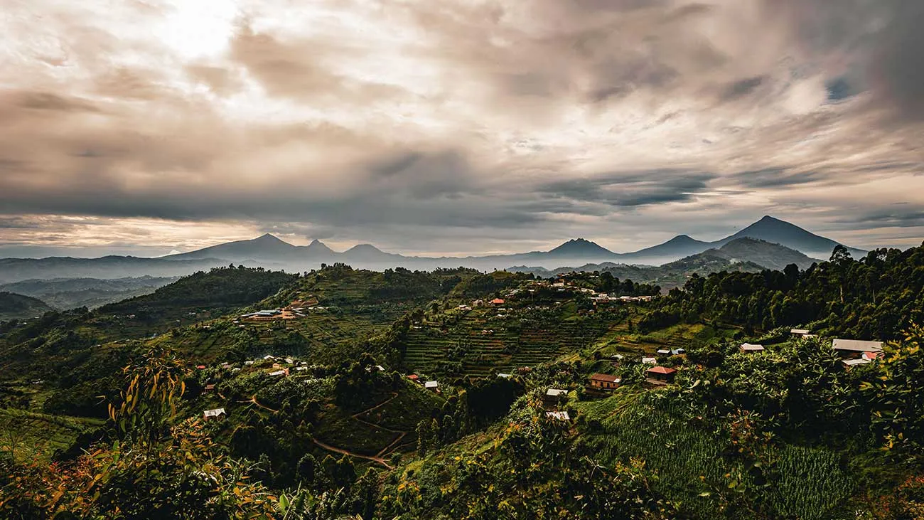 Trade has played &lsquo;central&rsquo; role in boosting Rwanda visitation, says tourist board