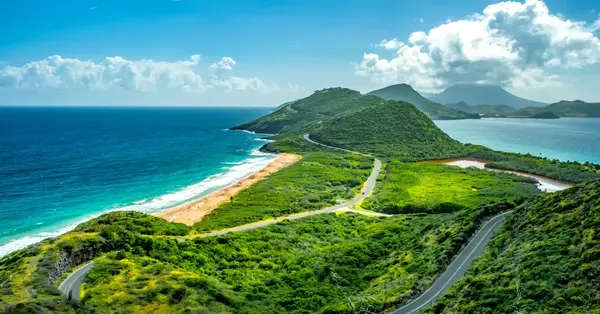 Cruise specialists report robust sales amid price increases