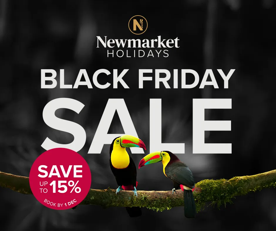 Newmarket Holidays Black Friday Campaign