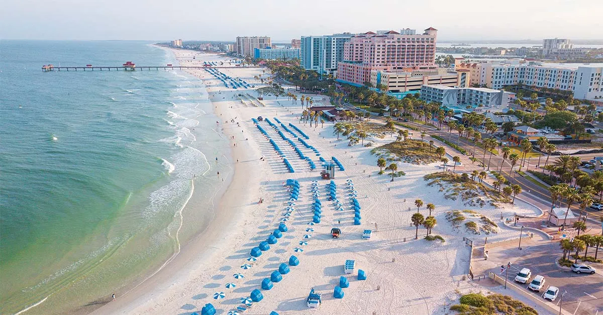 Explore Florida's St Pete-Clearwater on a dolphin-filled fam trip