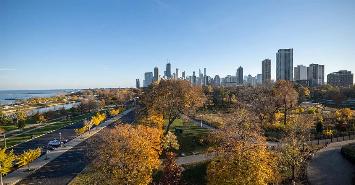 Lincoln Park Zoo Fall Fest 55 credit tequilagraphics