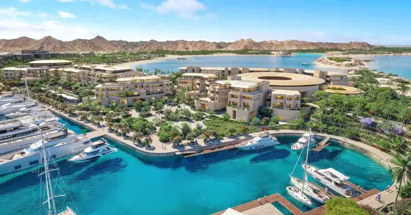 Saudi Arabia&rsquo;s Amaala recognised in global wellness report