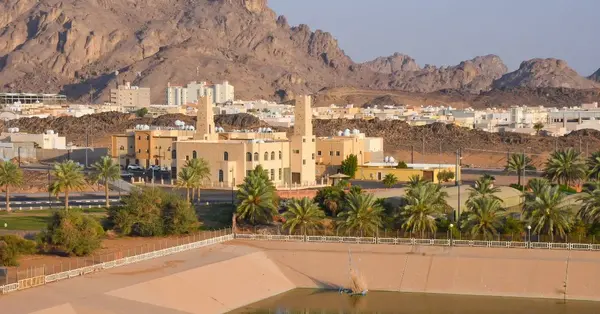 Qatar Airways to launch 3 weekly flights to Hail, Saudi Arabia