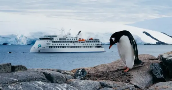 AE Expeditions adds four itineraries to Antarctica 2027-28 season