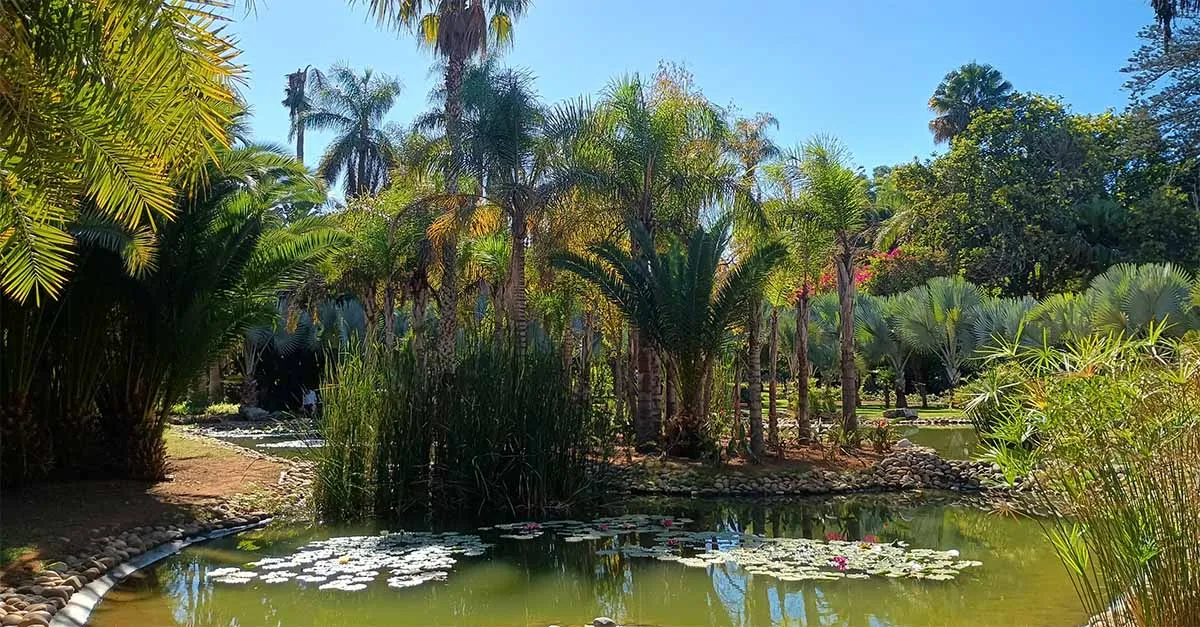 الحدائق النباتية 2