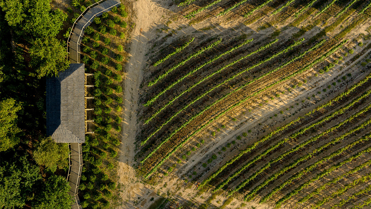 Visit Portugal debuts Online Travel Training course to provide ‘insider knowledge’ 