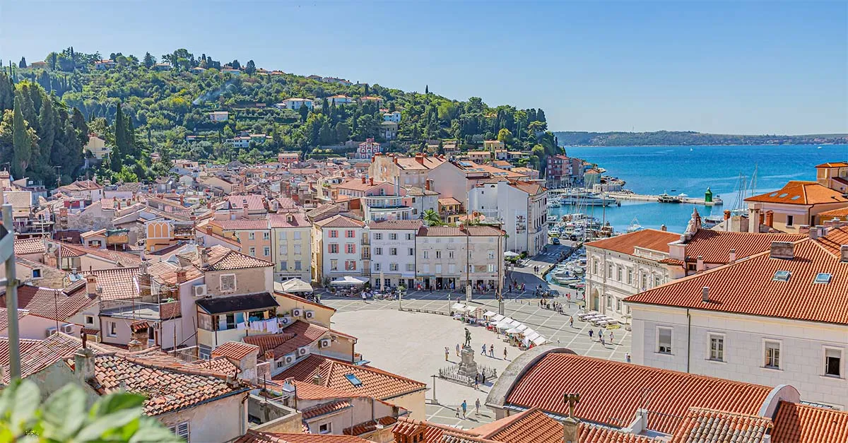 F014561 13 mediteranska kraska slovenija piran pogled na pir