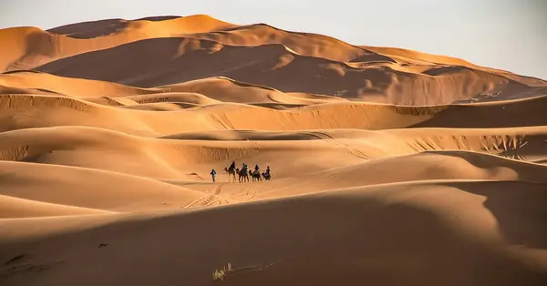 Add a Signature shine to your clients’ 2026 trips