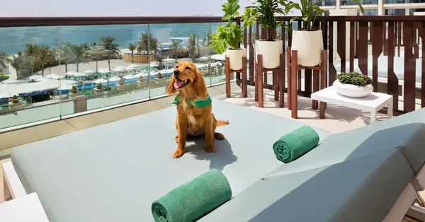 Dubai&rsquo;s Marriott Resort Palm Jumeirah adds 14 pet-friendly rooms