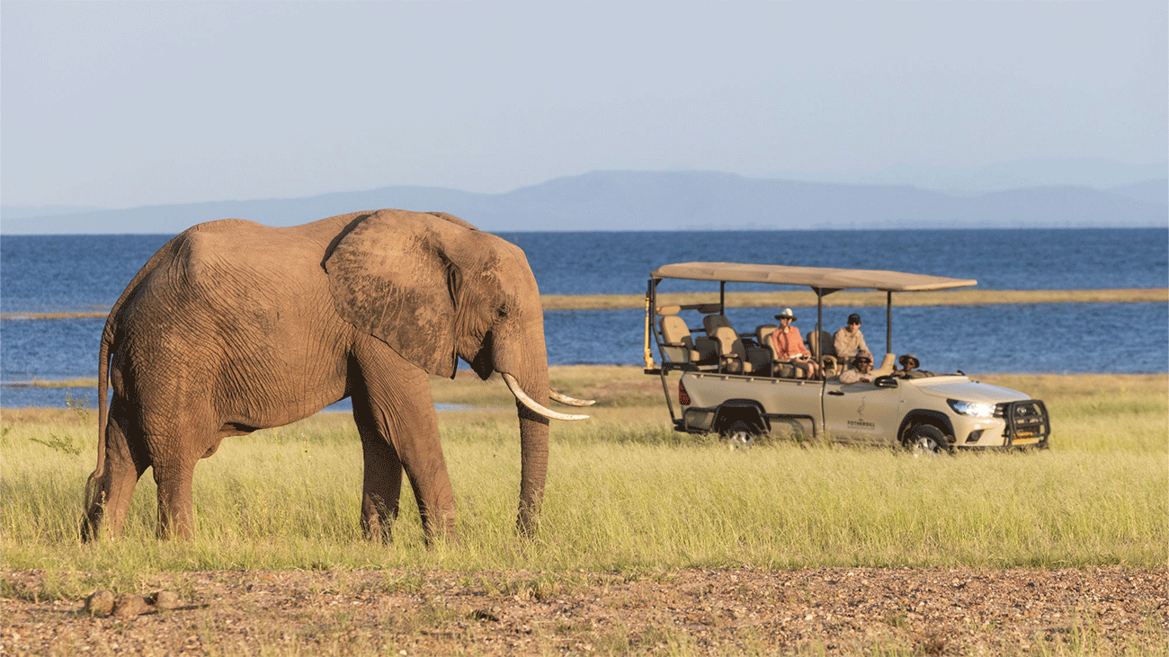 Rainbow Tours unveils new Africa and Latin America wildlife itineraries