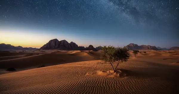 Saudi reserve earns Dark Sky status amid rise in astrotourism