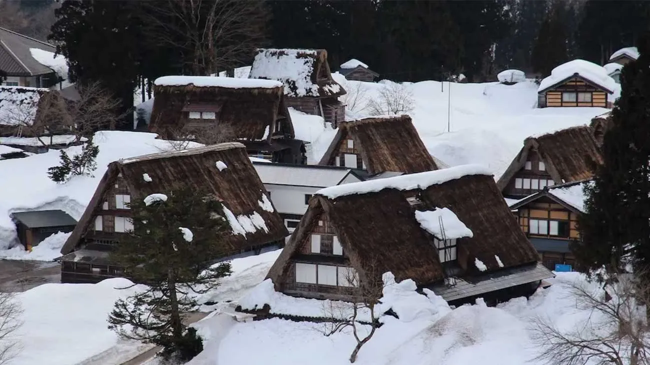 Inside Travel Group reports record numbers following launch of under-tourism strategy