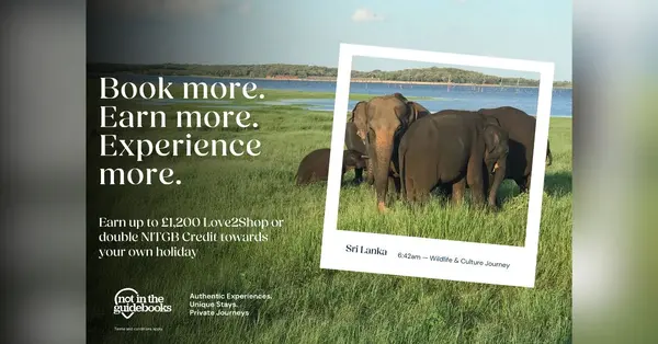 Not In The Guidebooks extends campaign amid growing agent confidence