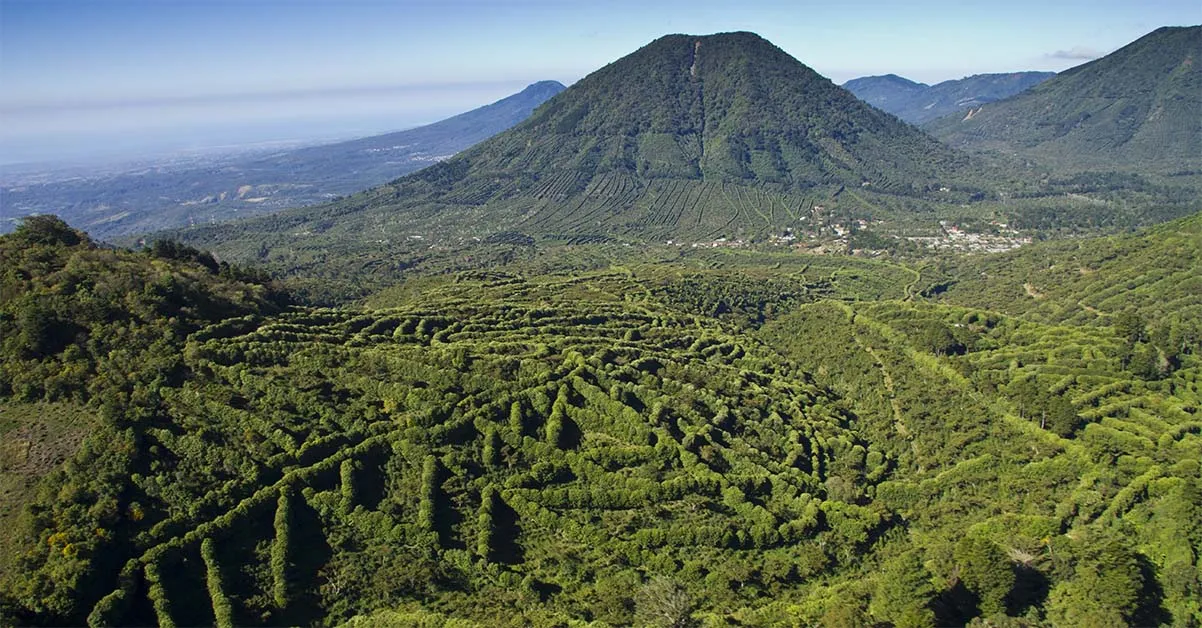 shutterstock Cyan Studio 484460806