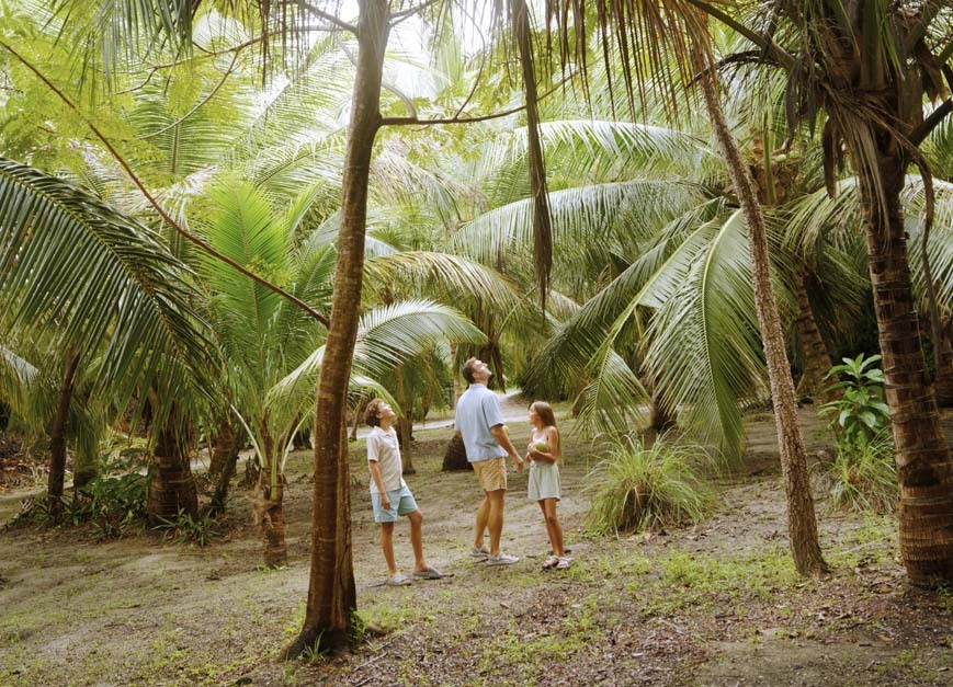 Inside Norwegian Cruise Line’s retro-inspired rebrand for 2026