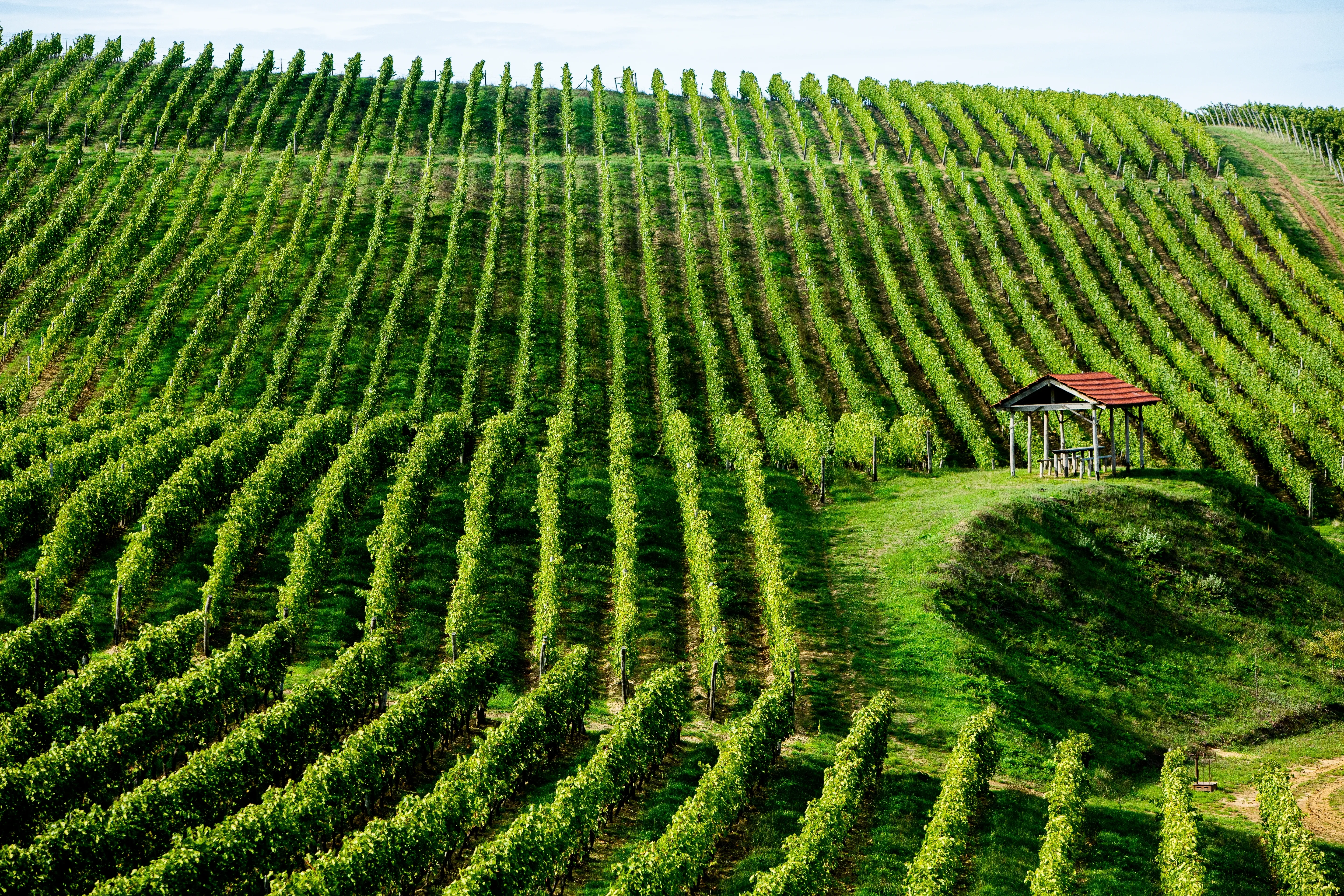 Up-and-coming destinations for 2026