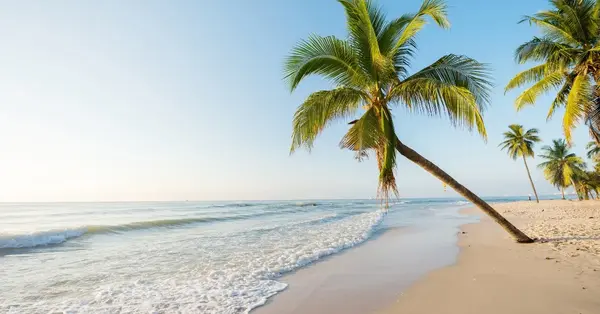 Expert agent guidance &lsquo;remains essential&rsquo; alongside AI trip planning, Pata study finds